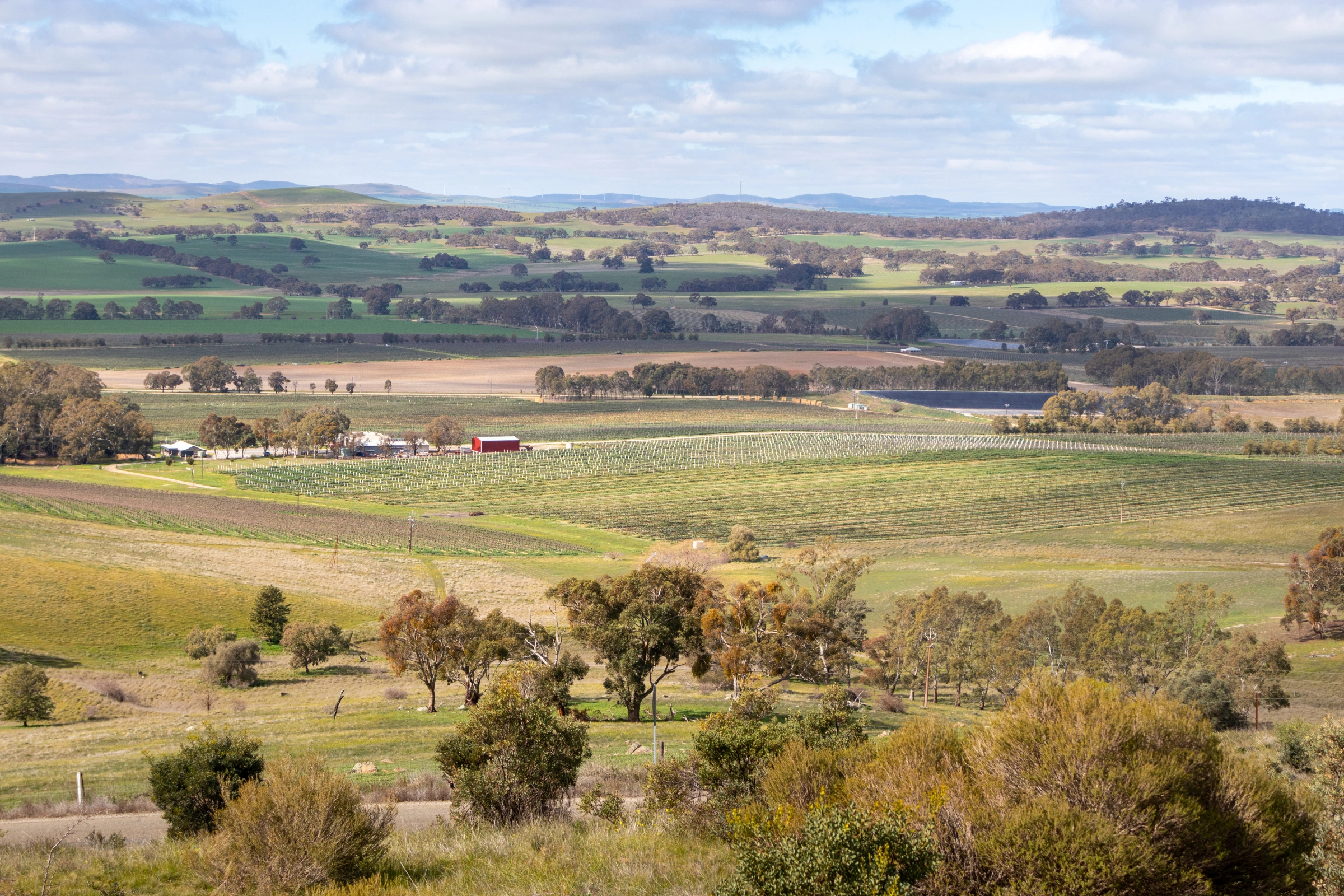 Clare_Valley,_South_Australia[1].webp